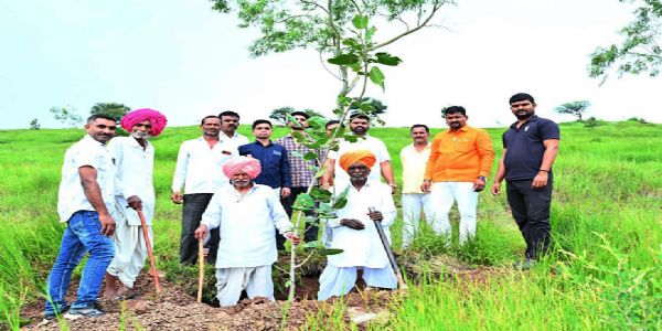 नगर - कोल्हार जांनदरा सादोबा परिसर हिरवाईने फुलणार