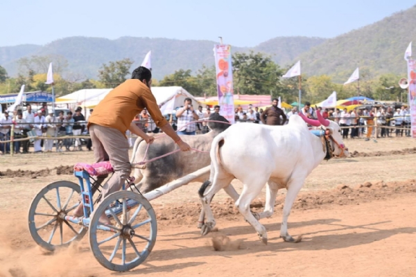 बहिरम यात्रेत रंगणार बैलगाडा शर्यतीचा धुराळा  २१ ते २३ जानेवारीला प्रहारच्या वतीने जंगी शंकरपट  दुचाकी वाहनांसह लाखोंची बक्षिसे