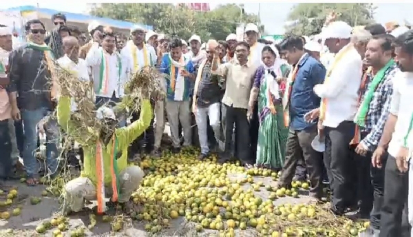 तिवसा तहसीलवर काँग्रेसचा  विशाल ट्रॅक्टर मोर्चा;  यशोमती ठाकुरांचा सरकारला आक्रमक इशारा!