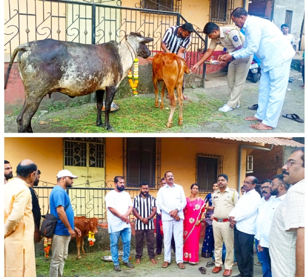 On the occasion of Vasubaras, the Vishwa Hindu Parishad and Bajrang Dal worshipped the cow during the month of Mhasala.