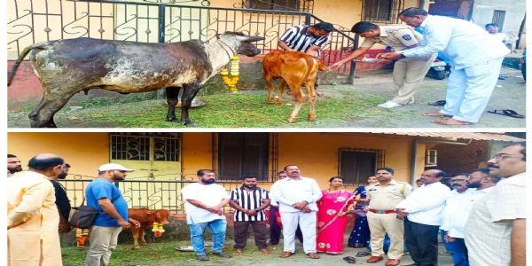 रायगड : वसुबारस निमित्त म्हसळ्यात गोपूजन