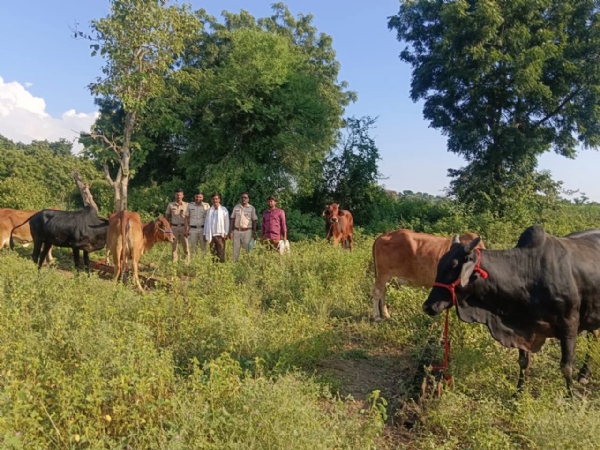 अवैध वाहतूक