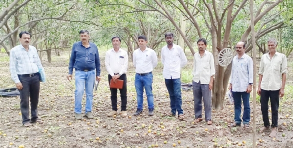 पांढरा हत्ती ठरत असलेल्या केंद्रीय लिंबूवर्गीय फळ संशोधन संस्थेला शेतकऱ्यांच्या बांधावर आणा !  विविध रोगांमुळे संत्रा झाडे वाळण्याच्या मार्गावर !
