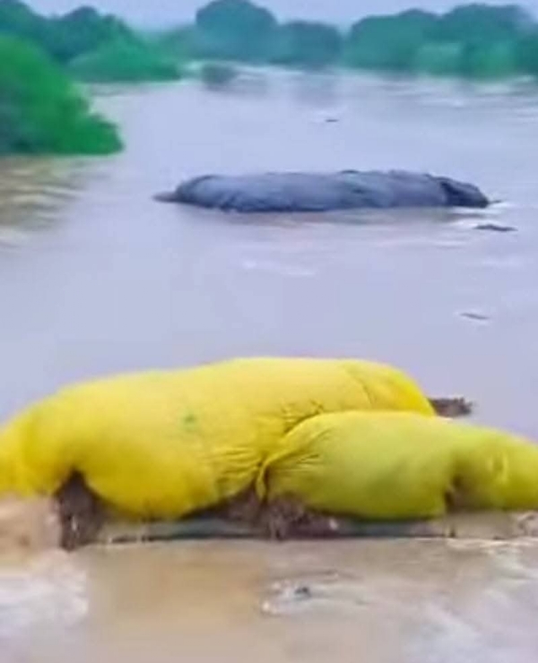 लातूर पाऊस