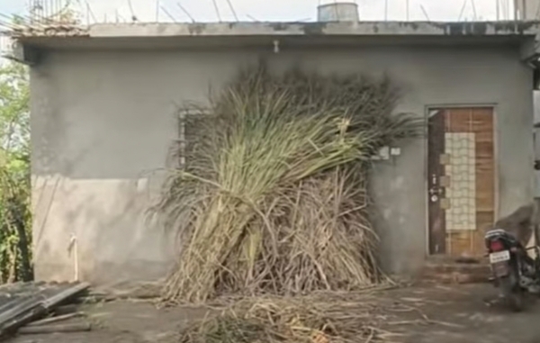 उदगावातील बनावट नोटा सापडलेला गोठा उदगावातील बनावट नोटा सापडलेला गोठा