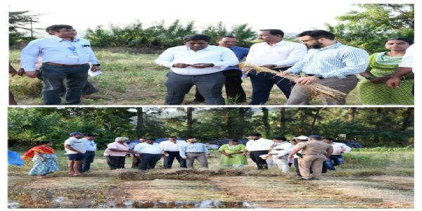 रत्नागिरी : बांधावर जाऊन जिल्हाधिकारी मनुज जिंदल यांचा नुकसानग्रस्त शेतकऱ्यांशी संवाद