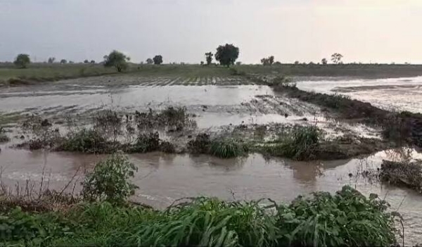 अमरावती शहरात ६० तर बडनेरात ७३ मिमी पावसाची नोंद अमरावती शहरात ६० तर बडनेरात ७३ मिमी पावसाची नोंद