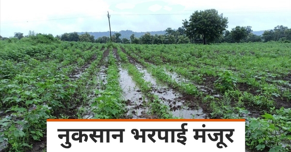 नुकसान भरपाईसाठी अमरावती जिल्ह्याला 1117 कोटींचा मदतनिधी नुकसान भरपाईसाठी अमरावती जिल्ह्याला 1117 कोटींचा मदतनिधी