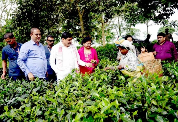nteracts with tea plantation workers