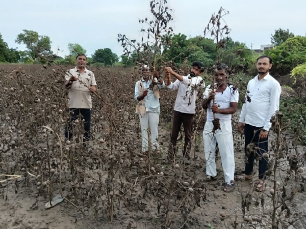 शेतीपिकांचा पंचनामा करून नुकसानभरपाई द्या— अन्यथा तहसील कार्यालयात आत्मदहनाचा इशारा डाकूपिंप्रीतील शेतकरी नवनाथ सोनवने यांचा इशारा