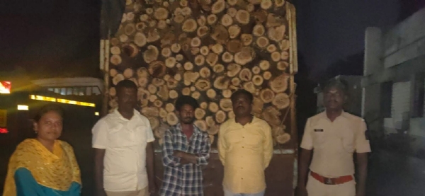 सागवानाच्या झाडाची बेकायदा कत्तल करीत अवैधरित्या  त्या लाकडाची वाहतूक करणारा टेम्पो जप्त : वन विभागाची कारवाई
