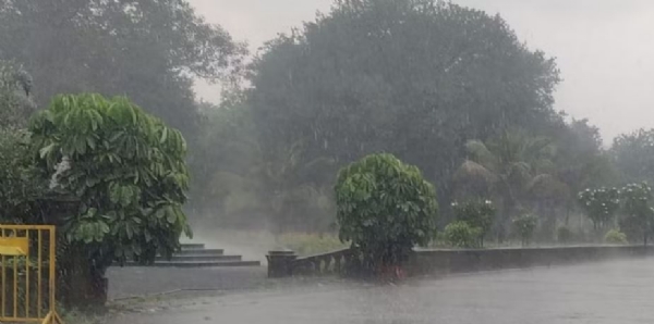 rain