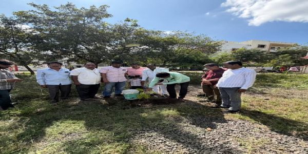 महात्मा फुले समता परिषदेच्या वर्धापन दिनानिमित्त परभणीत वृक्षारोपण