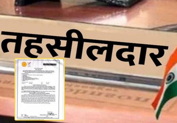 ‘कास्ट व्हॅलिडिटी’शिवाय १०४ तहसीलदारांना पदोन्नती; पात्र आदिवासी अधिकाऱ्याला न्याय नाकारला!