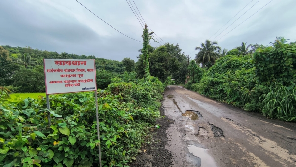 श्रीवर्धन शहराबाहेरील वाळवटी मार्गावरील पूल अत्यंत धोकादायक अवस्थेत असूनही या पुलावरून अवजड आणि अती अवजड वाहनांची वाहतूक सुरूच आहे. जीवना जेटी परिसरात सुरू असलेल्या कामासाठी मोठमोठे दगड आणि बांधकाम साहित्य या पुलावरून नेले जात असल्याने पुलाच्या स्थैर्याबाबत गंभीर शंका उपस्थित झाली आहे. स्थानिक नागरिकांच्या म्हणण्यानुसार, सार्वजनिक बांधकाम विभागाने पुलाला “धोकादायक” असा फलक लावूनही कोणतीही देखभाल किंवा वाहतुकीवरील निर्बंध लावलेले नाहीत. पुलाखालील गारगोटी आणि लोखंडी रॉड उघडे पडले असून, काँक्रीटचे थर सैल झाले आहेत. अशा परिस्थितीत दररोज ट्रक, डंपर, जेसीबी यांसारखी वाहने या मार्गावरून जात असल्याने मोठा अपघात होण्याची शक्यता आहे. या पुलावरून दररोज शालेय वाहनांसह शेकडो नागरिकांची ये-जा होते. जर पूल कोसळला तर श्रीवर्धन वाळवटी भागासाठी कोणताही पर्यायी मार्ग नसल्याने संपूर्ण वाहतूक ठप्प होण्याची शक्यता आहे. स्थानिक ग्रामस्थ आणि सामाजिक संघटनांनी या संदर्भात प्रशासनाकडे वारंवार तक्रारी केल्या असूनही आजपर्यंत कोणतीही ठोस कारवाई झालेली नाही. नागरिकांनी प्रशासनाला तातडीने या पुलावरील अवजड वाहनांची वाहतूक बंद करून पुलाची दुरुस्ती अथवा नव्याने बांधकाम करण्याची मागणी केली आहे. “पूल कोसळल्यानंतर उपाय शोधण्यापेक्षा आधीच सुरक्षा उपाय करावेत,” असे नागरिकांचे मत असून, या विषयावर आता जिल्हा प्रशासनाने तातडीने लक्ष देणे आवश्यक झाले आहे. श्रीवर्धन शहराबाहेरील वाळवटी मार्गावरील पूल अत्यंत धोकादायक अवस्थेत असूनही या पुलावरून अवजड आणि अती अवजड वाहनांची वाहतूक सुरूच आहे. जीवना जेटी परिसरात सुरू असलेल्या कामासाठी मोठमोठे दगड आणि बांधकाम साहित्य या पुलावरून नेले जात असल्याने पुलाच्या स्थैर्याबाबत गंभीर शंका उपस्थित झाली आहे. स्थानिक नागरिकांच्या म्हणण्यानुसार, सार्वजनिक बांधकाम विभागाने पुलाला “धोकादायक” असा फलक लावूनही कोणतीही देखभाल किंवा वाहतुकीवरील निर्बंध लावलेले नाहीत. पुलाखालील गारगोटी आणि लोखंडी रॉड उघडे पडले असून, काँक्रीटचे थर सैल झाले आहेत. अशा परिस्थितीत दररोज ट्रक, डंपर, जेसीबी यांसारखी वाहने या मार्गावरून जात असल्याने मोठा अपघात होण्याची शक्यता आहे. या पुलावरून दररोज शालेय वाहनांसह शेकडो नागरिकांची ये-जा होते. जर पूल कोसळला तर श्रीवर्धन वाळवटी भागासाठी कोणताही पर्यायी मार्ग नसल्याने संपूर्ण वाहतूक ठप्प होण्याची शक्यता आहे. स्थानिक ग्रामस्थ आणि सामाजिक संघटनांनी या संदर्भात प्रशासनाकडे वारंवार तक्रारी केल्या असूनही आजपर्यंत कोणतीही ठोस कारवाई झालेली नाही. नागरिकांनी प्रशासनाला तातडीने या पुलावरील अवजड वाहनांची वाहतूक बंद करून पुलाची दुरुस्ती अथवा नव्याने बांधकाम करण्याची मागणी केली आहे. “पूल कोसळल्यानंतर उपाय शोधण्यापेक्षा आधीच सुरक्षा उपाय करावेत,” असे नागरिकांचे मत असून, या विषयावर आता जिल्हा प्रशासनाने तातडीने लक्ष देणे आवश्यक झाले आहे.