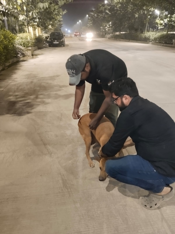 ठाणे ठाणे