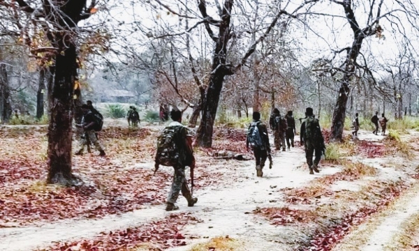 संग्रहित छायाचित्र संग्रहित छायाचित्र