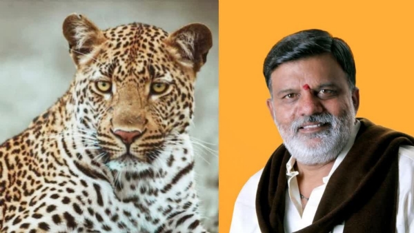 राजाभाऊ वाजे राजाभाऊ वाजे