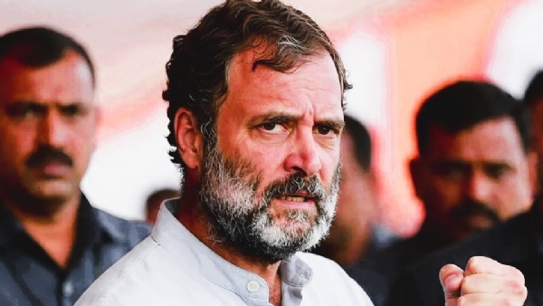 राहुल गांधी, काँग्रेस नेते राहुल गांधी, काँग्रेस नेते