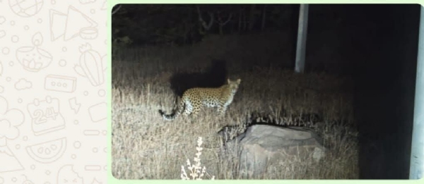 प्रशासनाद्वारे नागरिकांना सतर्कतेचा इशारा