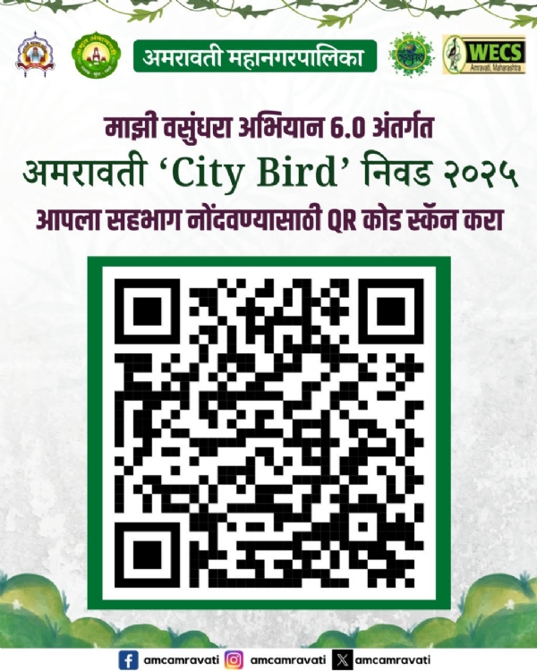 राजकीय पक्षांच्या आधी पक्षी मैदानात! अमरावतीत सहा पंखधारी उमेदवारांची निवडणूक