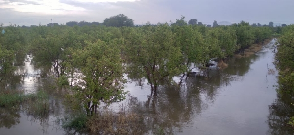 उत्तर महाराष्ट्रातील अतिवृष्टी आणि पुरामुळे झालेल्या नुकसानीचे अनुदान शेतकऱ्यांच्या खात्यावर वर्ग – डॉ.  गेडाम     ॲग्री स्टॅक नोंदणीसाठी विशेष मोहीम राबविण्याच्या जिल्हा प्रशासन आणि कृषी विभागाला