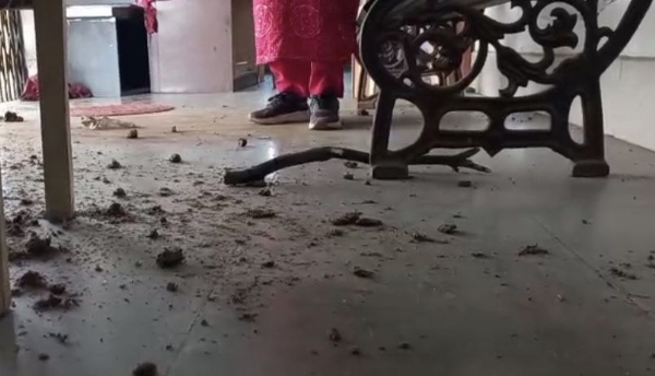 वाठोडा शुक्लेश्वर प्राथमिक आरोग्य केंद्रात विध्वंस – अज्ञातांनी काचा फोडून शेणफेक; परिसरात खळबळ