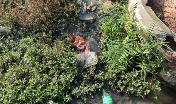 आराठी येथील शबीना पेट्रोल पंपाजवळील कोहिनूर बिल्डिंग परिसरात नाल्याचे दूषित पाणी रस्त्यावर वाहत आल्याने स्थानिक नागरिकांच्या त्रासाला अक्षरशः शिगोशीग आली आहे. गेल्या अनेक दिवसांपासून नाल्याचे घाणेरडे पाणी मुख्य रस्त्यावरून वाहत असल्याने वाहनचालक, पायदळ नागरिक, तसेच परिसरातील दुकानदार यांना प्रचंड गैरसोयींचा सामना करावा लागत आहे. दुर्गंधी इतकी वाढली आहे की, रस्त्यावरून जाणाऱ्यांना नाक दाबूनच पुढे जावे लागत असल्याची स्थिती निर्माण झाली आहे.  स्थानिक नागरिकांनी ही समस्या तातडीची असून धोकादायक असल्याचे वारंवार ग्रामपंचायतीच्या निदर्शनास आणून दिले. मात्र अनेक तक्रारी करूनही संबंधित विभागाकडून कोणतीही ठोस कार्यवाही करण्यात आली नसल्याचा आरोप त्यांनी केला आहे. तक्रारींकडे जाणीवपूर्वक दुर्लक्ष केले जात असल्याचा संशयही व्यक्त होत आहे.  नाल्याचे पाणी रस्त्यावर येत असल्याने वाहतुकीत अडथळे निर्माण होत असून, वाहन घसरून अपघात होण्याची शक्यता वाढली आहे. सतत पसरत राहणाऱ्या दूर्गंधीमुळे परिसरातील वातावरण अस्वच्छ झाले असून आजारपणाचा धोका वाढत चालल्याची भीती नागरिकांनी व्यक्त केली आहे. डेंग्यू, मलेरिया यांसारख्या आजारांचा प्रसार होण्याचीही शक्यता वाढली आहे.  सामान्य नागरिकांच्या सोयी-सुविधांकडे दुर्लक्ष करून ही समस्या मुद्दामच रखडवली जाते आहे का, असा गंभीर प्रश्न स्थानिकांच्या मनात निर्माण झाला आहे. समस्या सोडवण्यासाठी प्रशासनाने तातडीने स्थलपाहणी करून नाल्याची स्वच्छता व दुरुस्तीची कामे हाती घ्यावीत, अशी मागणी करण्यात येत आहे.  दरम्यान, समस्या त्वरित मार्गी न लावल्यास मोर्चा, आंदोलन किंवा ग्रामपंचायत कार्यालयाला घेराव घालण्याचा इशाराही नागरिकांनी दिला आहे.