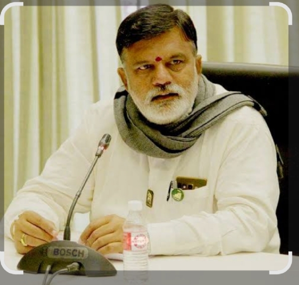 वृक्षतोड प्रश्नावर खासदार वाजेंची पंतप्रधान-मुख्यमंत्र्यांना पत्र