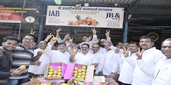 कोल्हापुरात हापूस आंब्याची आवक : पहिला दर 4200 रु. डझन