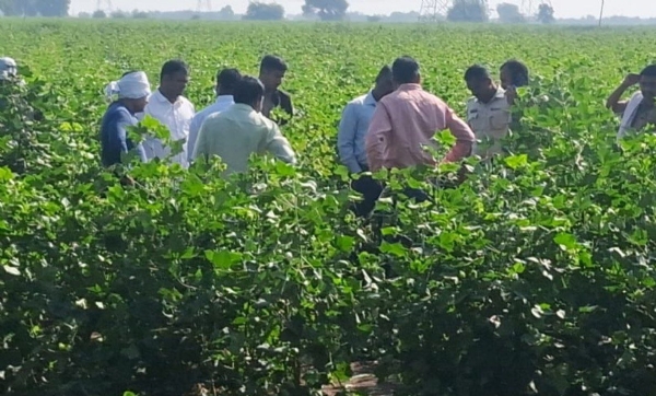 “रक्तरंजित धाडसी हत्या : युवकावर चाकूचे अनेक घाव, पेट्रोल टाकून मृतदेह जाळला; शिराळा शेतशिवार हादरले!” “रक्तरंजित धाडसी हत्या : युवकावर चाकूचे अनेक घाव, पेट्रोल टाकून मृतदेह जाळला; शिराळा शेतशिवार हादरले!”