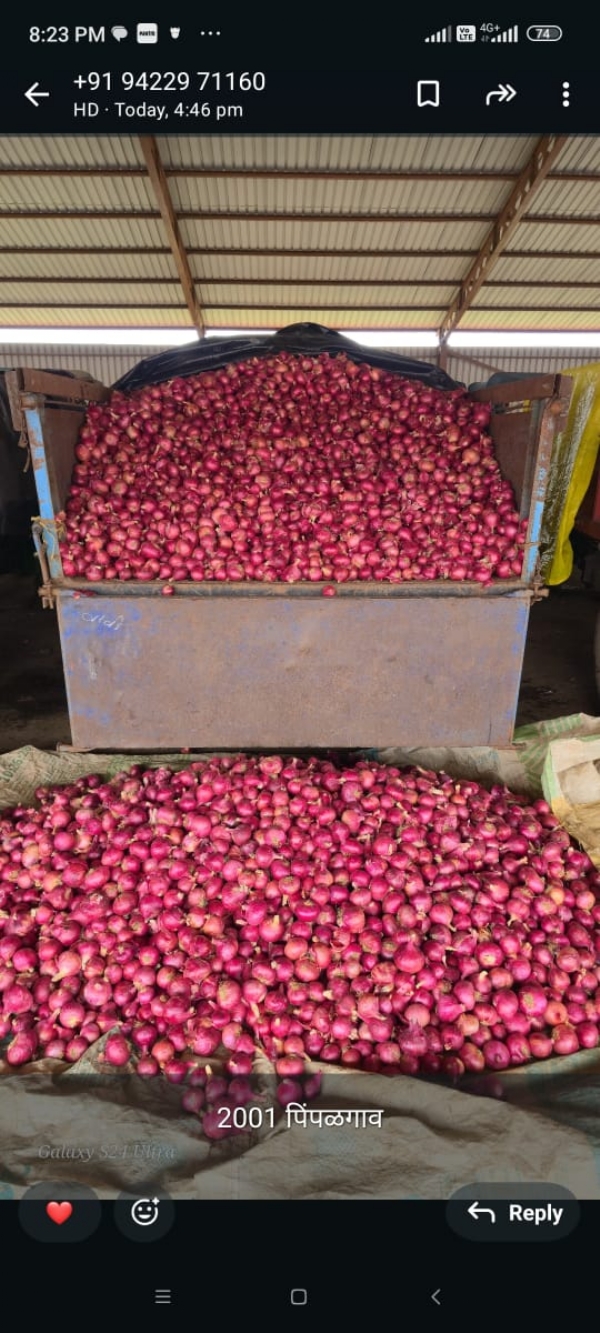 निर्यातबंदीने बांगलादेशात कांदादरात मोठी वाढ, निर्यातबंदीने बांगलादेशात कांदादरात मोठी वाढ,