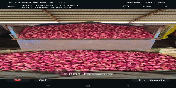 निर्यातबंदीने बांगलादेशात कांद्याच्या दरात मोठी वाढ