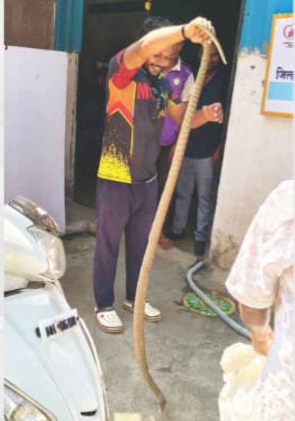 Snake enters the washroom of the district hospital - the issue of safety in the hospital is serious Snake enters the washroom of the district hospital - the issue of safety in the hospital is serious