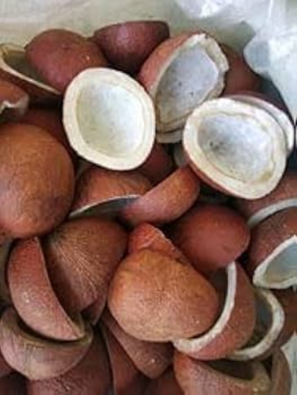 खोबर खोबर