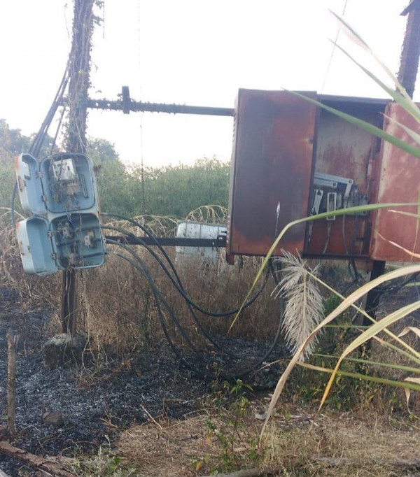 नादुरुस्त डीपीचा कहर! शिरजगाव मोझरीत उसासह तुरीचे पीक राख – शेतकरी घाटोळ यांचे साडेतीन लाखांचे नुकसान नादुरुस्त डीपीचा कहर! शिरजगाव मोझरीत उसासह तुरीचे पीक राख – शेतकरी घाटोळ यांचे साडेतीन लाखांचे नुकसान