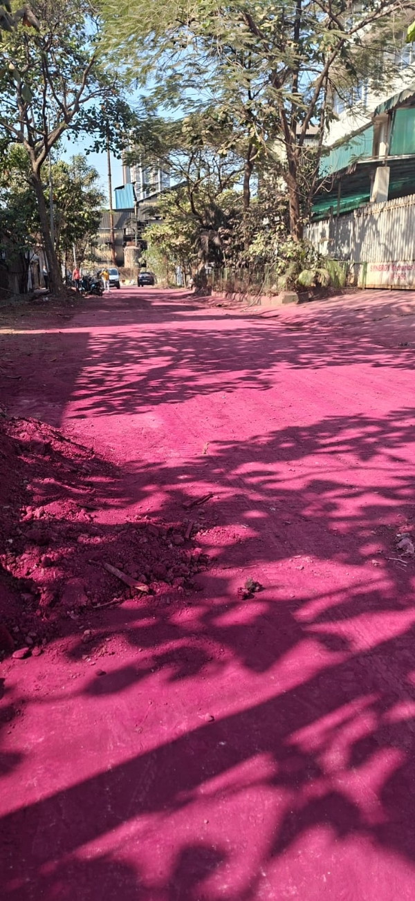 पुन्हा एमआयडीसी गल्लीचा रस्ता झाला गुलाबी पुन्हा एमआयडीसी गल्लीचा रस्ता झाला गुलाबी