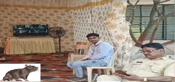 Panic in EVM strong room in Pen; Security alert due to rat Panic in EVM strong room in Pen; Security alert due to rat