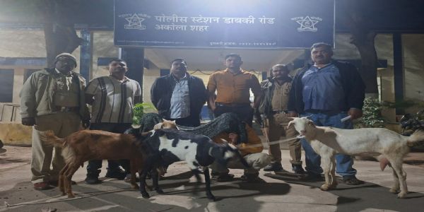 अकोला- बकरी चोरी प्रकरणाचा 12 तासात छडा, आरोपी अटकेत