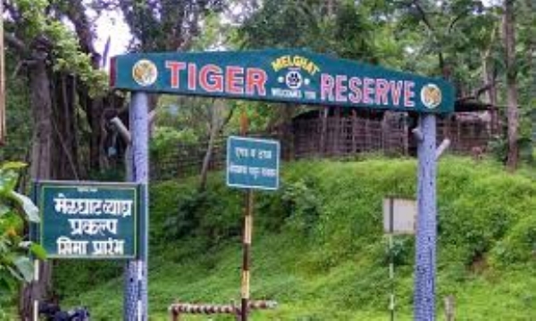 सोमठाणा खुर्द येथील प्रकल्पग्रस्तांना मोबदला मिळणार; कागदपत्रे सादर करण्याचे अकोट वन्यजीव विभागाचे आवाहन