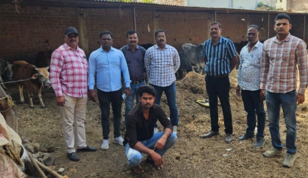 सुफी नगर, वलगाव येथे कत्तलीसाठी गोठ्यात बांधून ठेवलेल्या २६ गोवंशाची गुन्हे शाखेकडून सुटका सुफी नगर, वलगाव येथे कत्तलीसाठी गोठ्यात बांधून ठेवलेल्या २६ गोवंशाची गुन्हे शाखेकडून सुटका