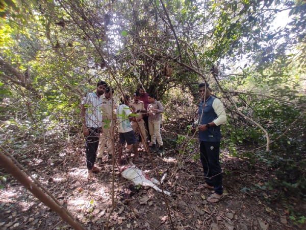 उसरणी परिसरात बिबट्याची हालचाल; वन विभागाची तपासणी मोहीम, ग्रामस्थांना सतर्कतेचे आवाहन