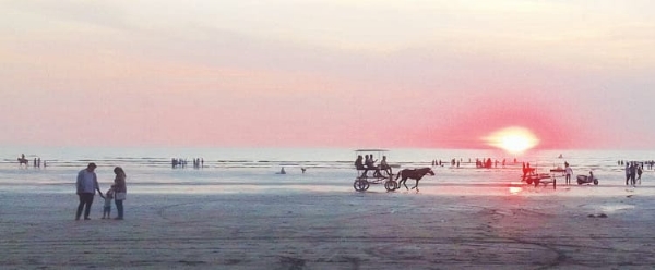 माथेरान, अलिबाग आणि काशिदसह रायगड पर्यटनस्थळे फुल्ल; हॉटेल्स पूर्ण आरक्षित माथेरान, अलिबाग आणि काशिदसह रायगड पर्यटनस्थळे फुल्ल; हॉटेल्स पूर्ण आरक्षित