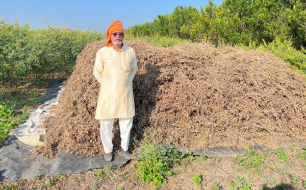 शेतात जाण्यासाठी रस्ता नसल्याने मोठी अडचण 20-25 एकरातील सोयाबीनची शेतातच गंजी