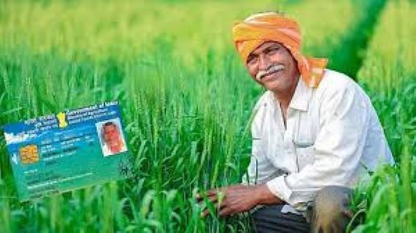 अमरावतीत १ लाखांहून अधिक शेतकरी ‘फार्मर आयडी’विना; अँग्रीस्टॅक मोहिमेत जिल्ह्याची गती मंद अमरावतीत १ लाखांहून अधिक शेतकरी ‘फार्मर आयडी’विना; अँग्रीस्टॅक मोहिमेत जिल्ह्याची गती मंद