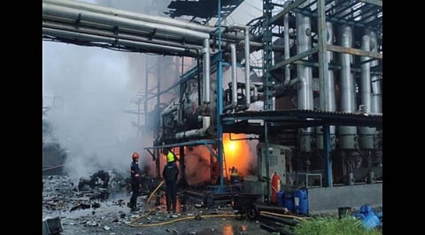 तारापूर एमआयडीसीत पाच वर्षांत ९१ अपघात; ४८ कामगारांचा मृत्यू औद्योगिक सुरक्षेचा प्रश्न तीव्र, ढासळलेल्या यंत्रणेमुळे वाढती दुर्घटनांची मालिका तारापूर एमआयडीसीत पाच वर्षांत ९१ अपघात; ४८ कामगारांचा मृत्यू औद्योगिक सुरक्षेचा प्रश्न तीव्र, ढासळलेल्या यंत्रणेमुळे वाढती दुर्घटनांची मालिका