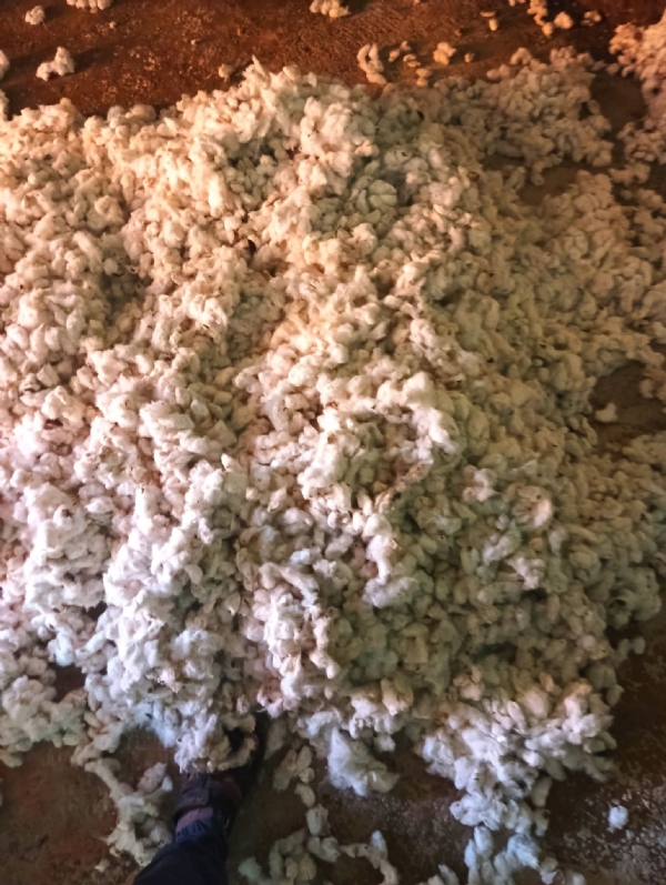 सीसीआय कापूस सीसीआय कापूस