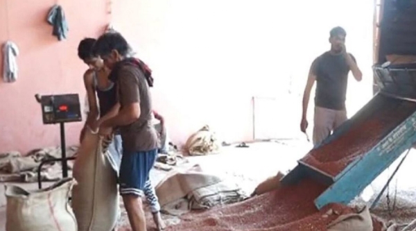 दोन महिन्यात बाजार समितीत धान्याची विक्रमी आवक