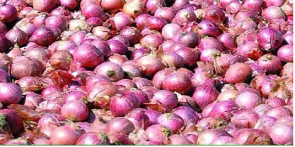 पुणे : कांद्याच्या दरात घसरण; शेतकरी आर्थिक अडचणीत