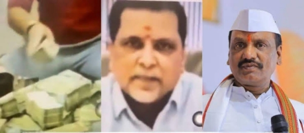 व्हिडिओ